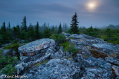 10L-04 MOONLIT NIGHT, DOLLY SODS WILDERNESS, WV  © KENT MASON