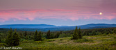 10L-10 MOONLIT NIGHT, DOLLY SODS WILDERNESS, WV  © KENT MASON