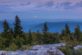 10L-07 MOONLIT NIGHT, DOLLY SODS WILDERNESS, WV  © KENT MASON